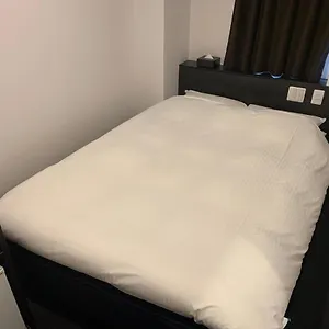 Hotel Nagoyaeki Access, Nagoya